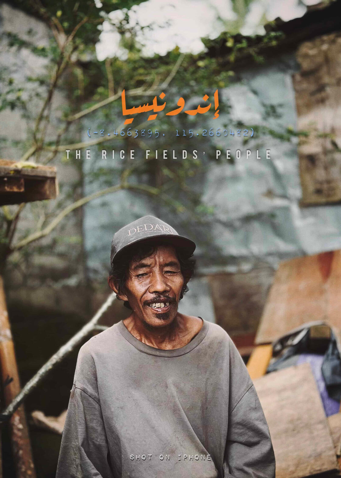 Rice Field Man